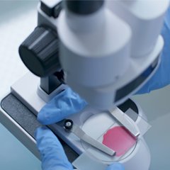 expérience en laboratoire Observation d'échantillons à la Clinique de prélèvements NR, soins de qualité en Beauce pour diagnostics fiables.